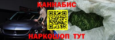 индика Рузаевка