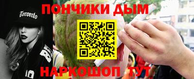 индика Рузаевка