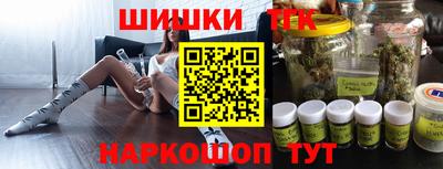 индика Рузаевка